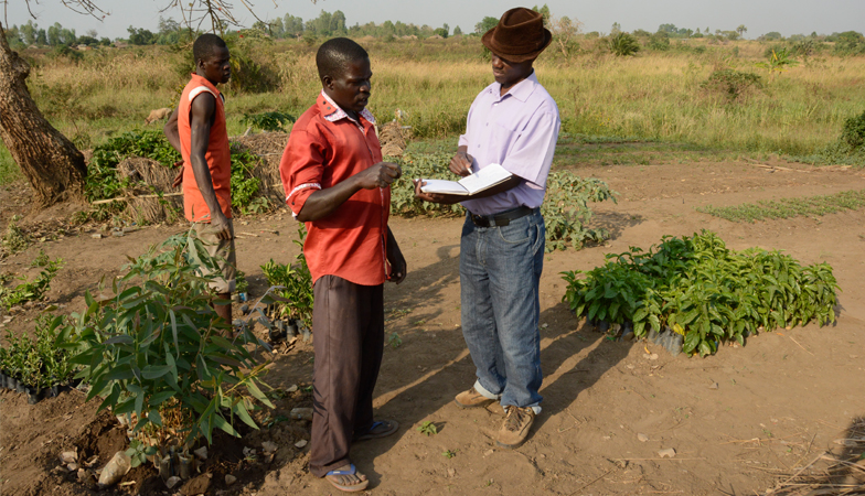 farmers discussing sustainable land management