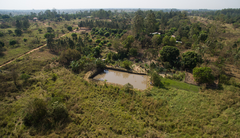 Water harvesting