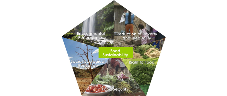 Concept of food sustainability