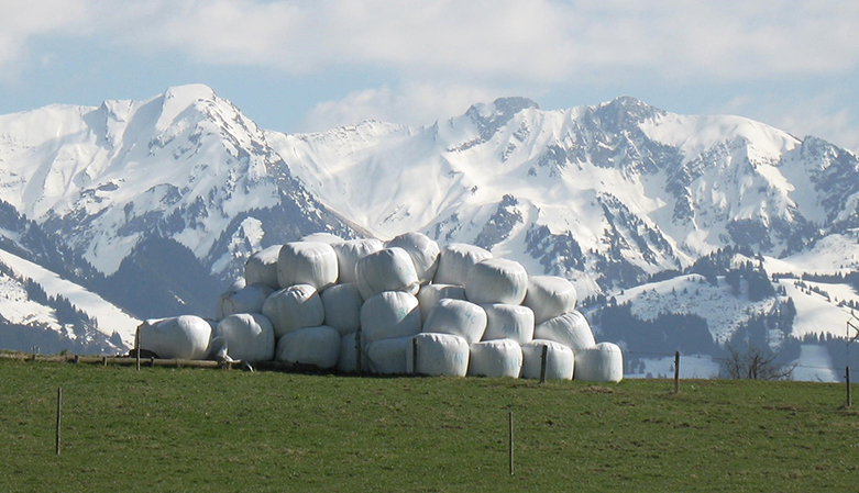 Silage bales in the Pre-Alps, Switzerland