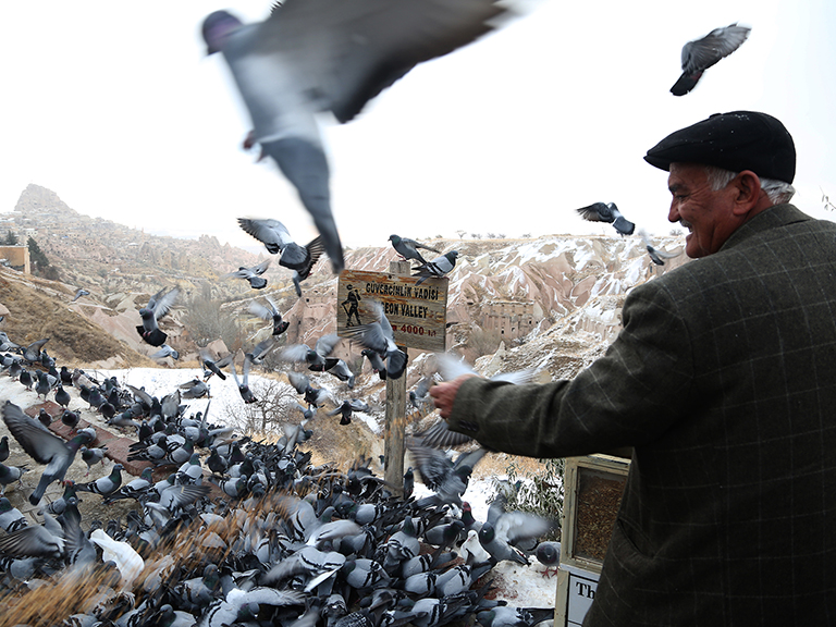 Pigeon breeder in Cappadocia with pigeons