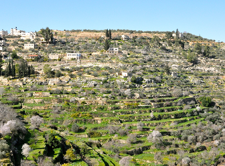 Das Dorf Battir und seine Terrassen