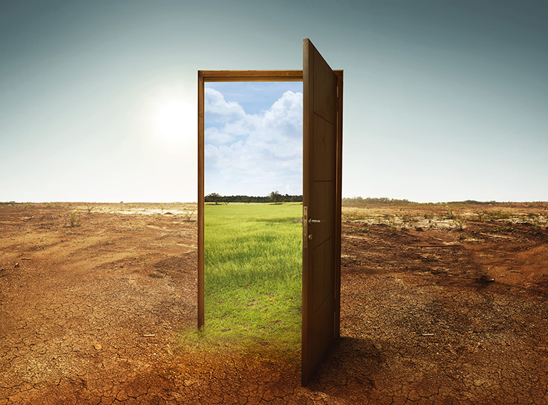 Open wooden door to a new world with green environment