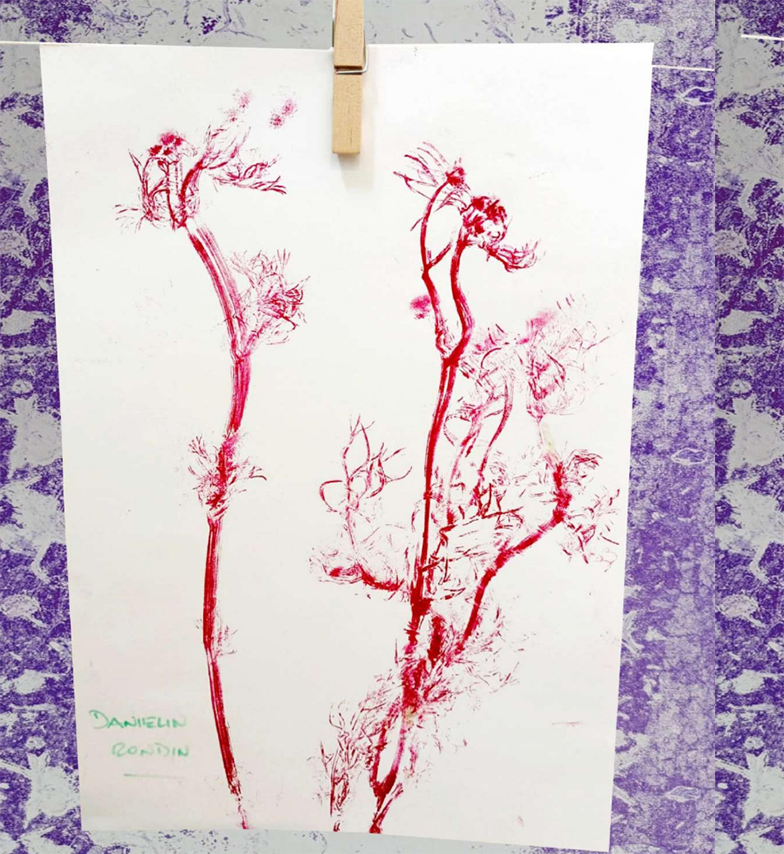Traditional plant press from Ecuador