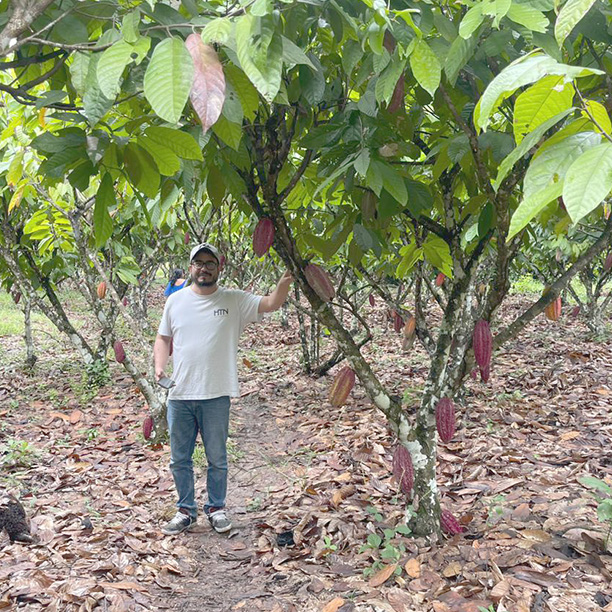 Javier Montoya in a cocoa plantation