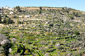 Village of Battir and its terraces