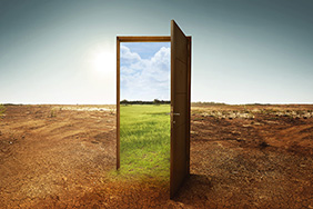 Open wooden door to a new world with green environment