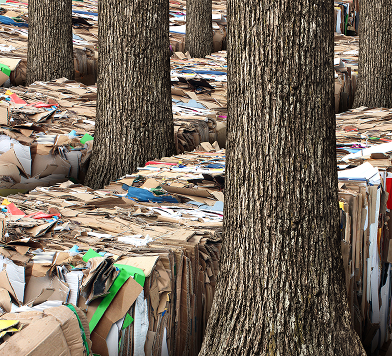 Waste paper between trees