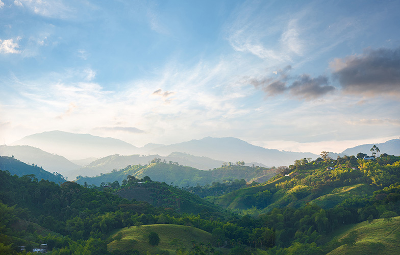 coffee landscape, Colombia