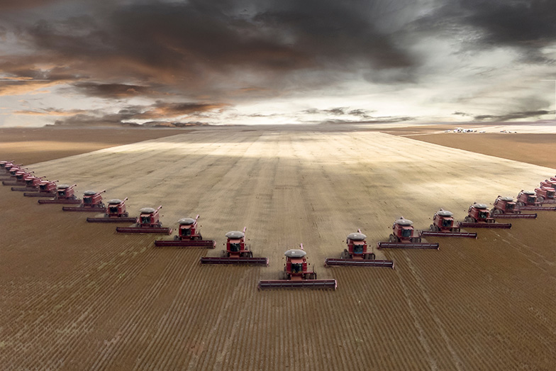 Harvest time on a massive plantation