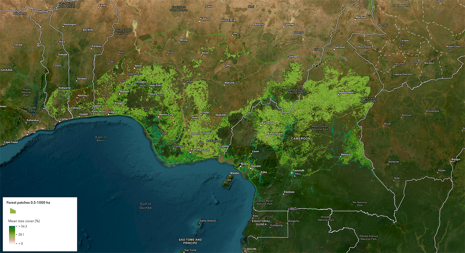 screenshot map forest patches West Afrcia