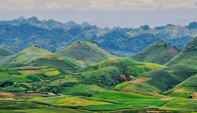 Intensive agriculture_Vietnam