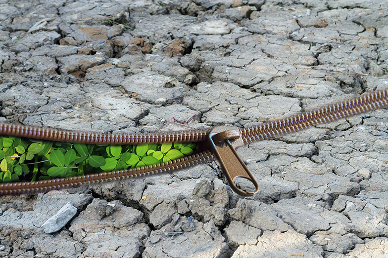 ecosystem change