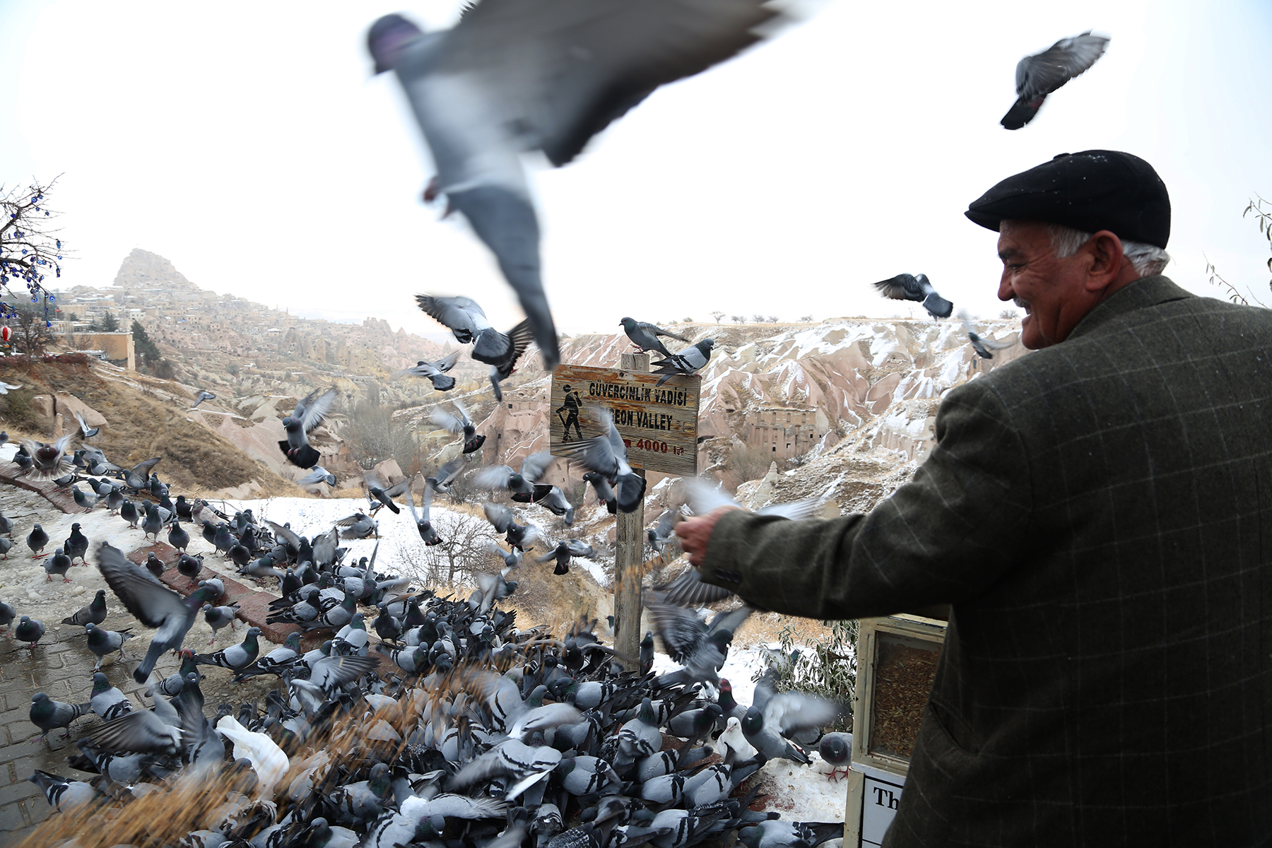Ahmet Türke, a boutique hotel owner and vineyard keeper, feeding pigeons during winter in Uçhisar Pigeon Valley.