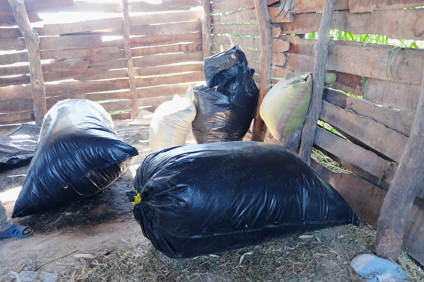 Big plastic bags