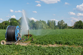 Crop irrigation