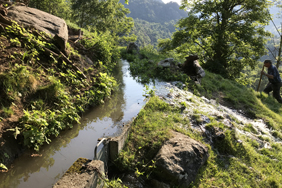 irrigation system