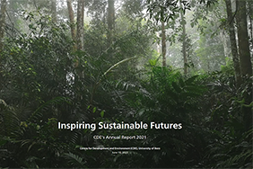 CDE Annual Report 2021