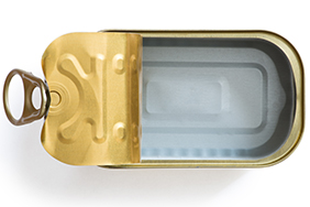 Empty sardine tin