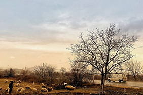 Landscape Georgia