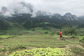 Landscape Laos