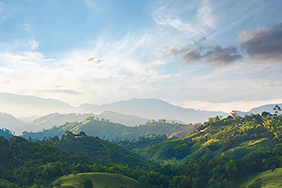 Coffee landscape Colombia