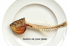 Fish on a plate