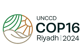 COP16
