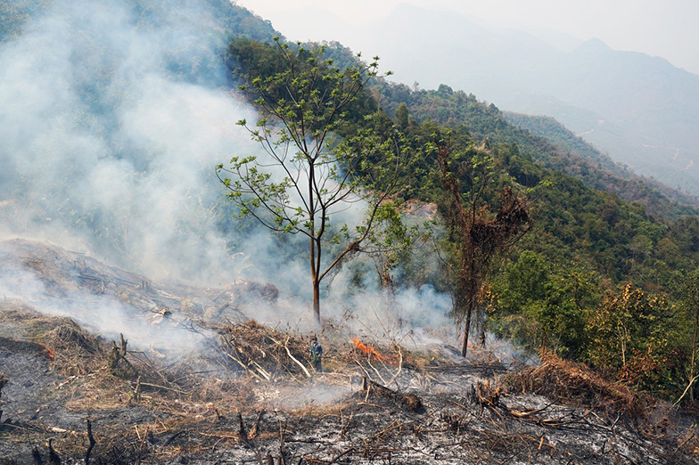Shifting cultivation field preparation Layshi Township, Myanmar