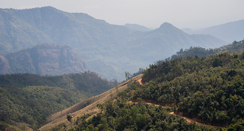 jhum landscape