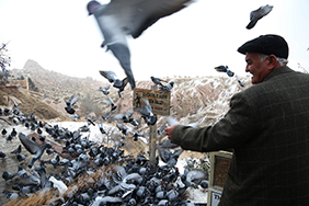 Pigeon breeder in Cappadocia with pigeons