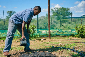 application of biochar in a field_by GIZ Tim Brunauer