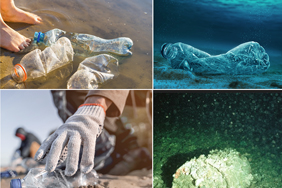 four pictures, two of them showing plastic bottles (one swimming in water, another on the beach), a third ocean-floor debris, and the fourth dumped nuclear waste in a corroded barrel on the seabed