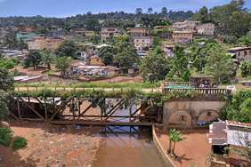 Trees and wastewater treatment are set to bring about sustainable improvements to the environment and quality of life: a neighbourhood in Freetown, Sierra Leone