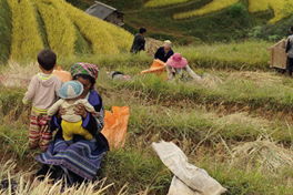 family farming