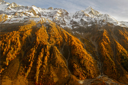 mountains