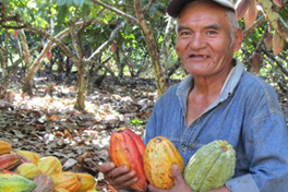 Cocoa Farmer
