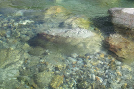 Recht auf Wasser