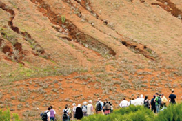 Dryland Soils