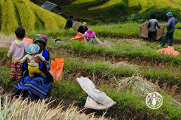 Mountain Farming is Family Farming