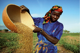 Agroecology and food sustainability