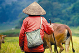 PB Laos concessions