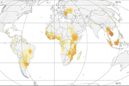 land matrix report
