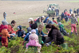 solidarökonomie