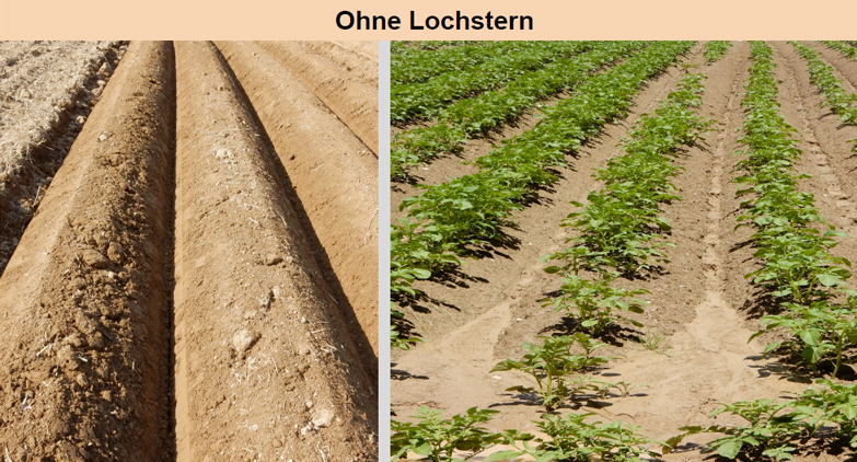 Ohne Lochstern
