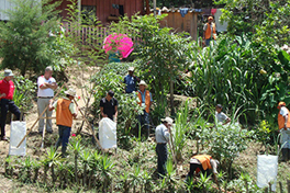 Where people and their land are safer