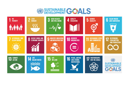 Sustainable development goals