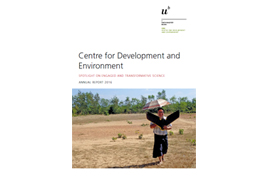 CDE Annual Report 2016
