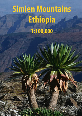 Map cover