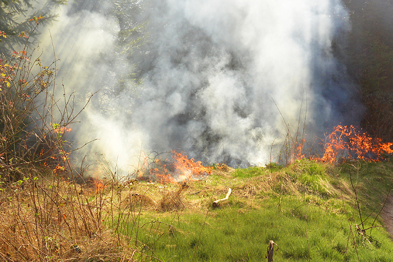 A forest fire in the canton of Bern